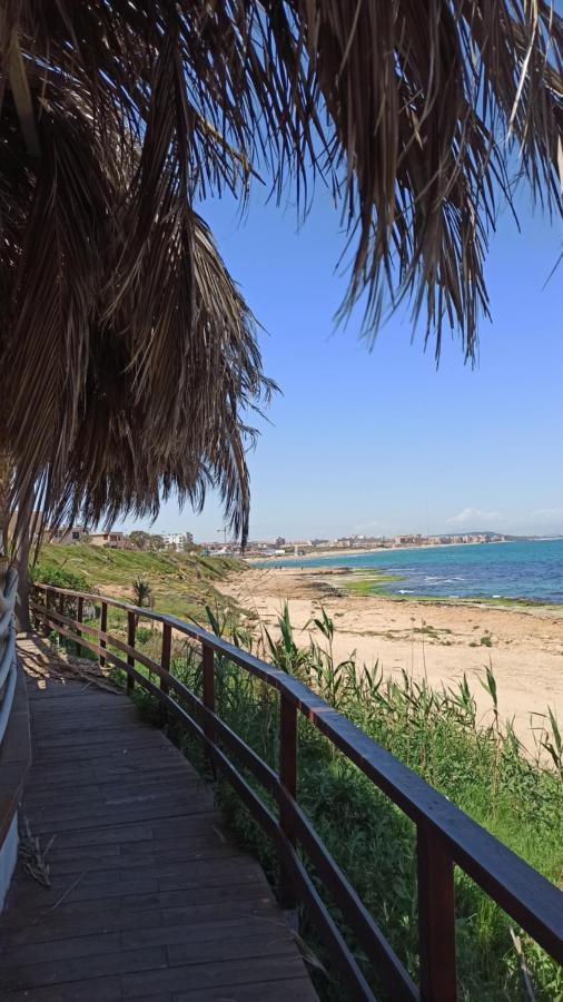 Apartment Only 250M From The Beach Los Locos トレビエハ エクステリア 写真