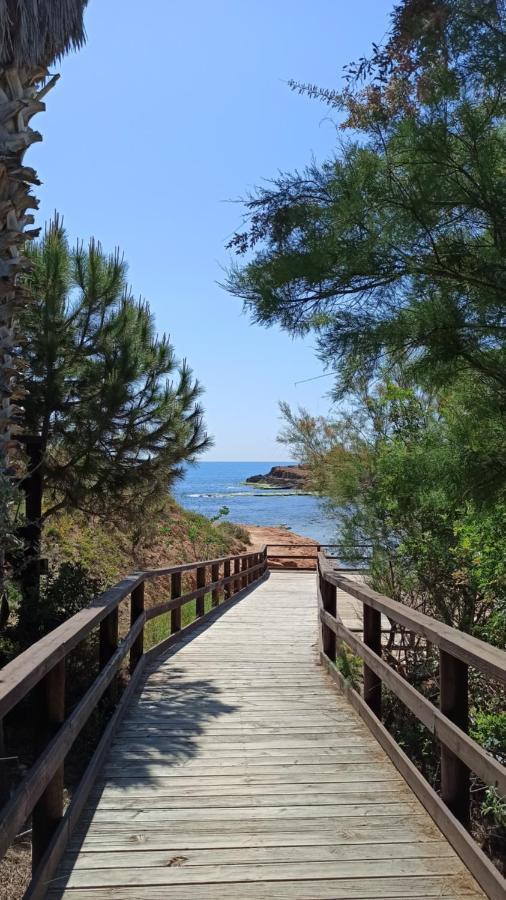 Apartment Only 250M From The Beach Los Locos トレビエハ エクステリア 写真